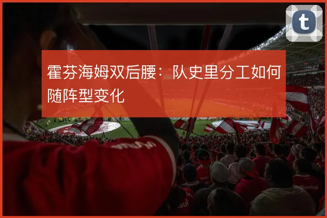 霍芬海姆双后腰：队史里分工如何随阵型变化
