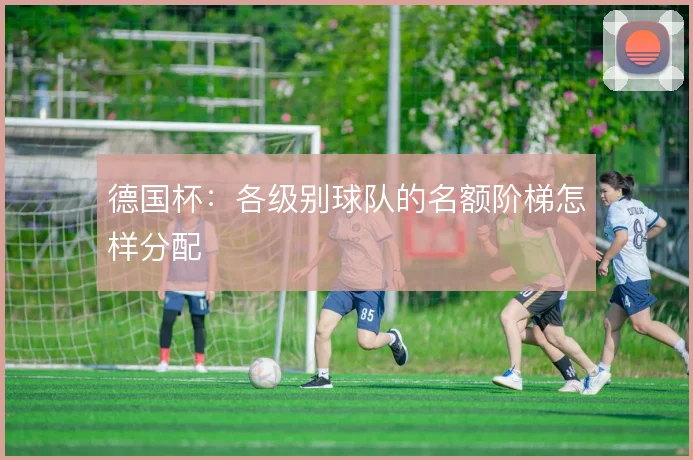 德国杯：各级别球队的名额阶梯怎样分配