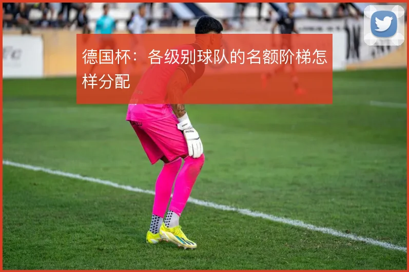 德国杯:各级别球队的名额阶梯怎样分配
